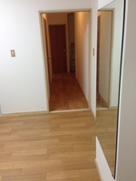 c 006.jpg