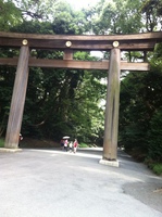 i䐅R 006.jpg