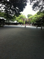 i䐅R 009.jpg