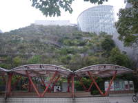 IMGP1642.JPG