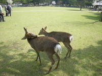 IMGP3729.JPG