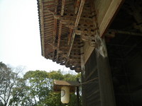 IMGP3743.JPG