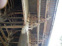 IMGP3744.JPG