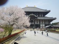 IMGP3749.JPG