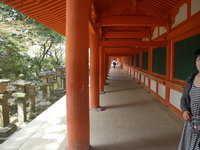 IMGP3773.JPG