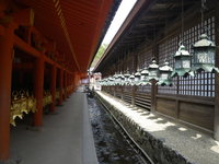 IMGP3774.JPG